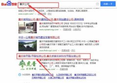 重慶虎普環(huán)?？萍加邢薰竞捅竟竞灱sSEO推廣合同