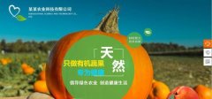 企業(yè)做網(wǎng)站當(dāng)前CSS技術(shù)所存在的不足之處