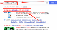 陜西省定邊縣*品實業(yè)有限公司官網站建設策劃作品欣賞